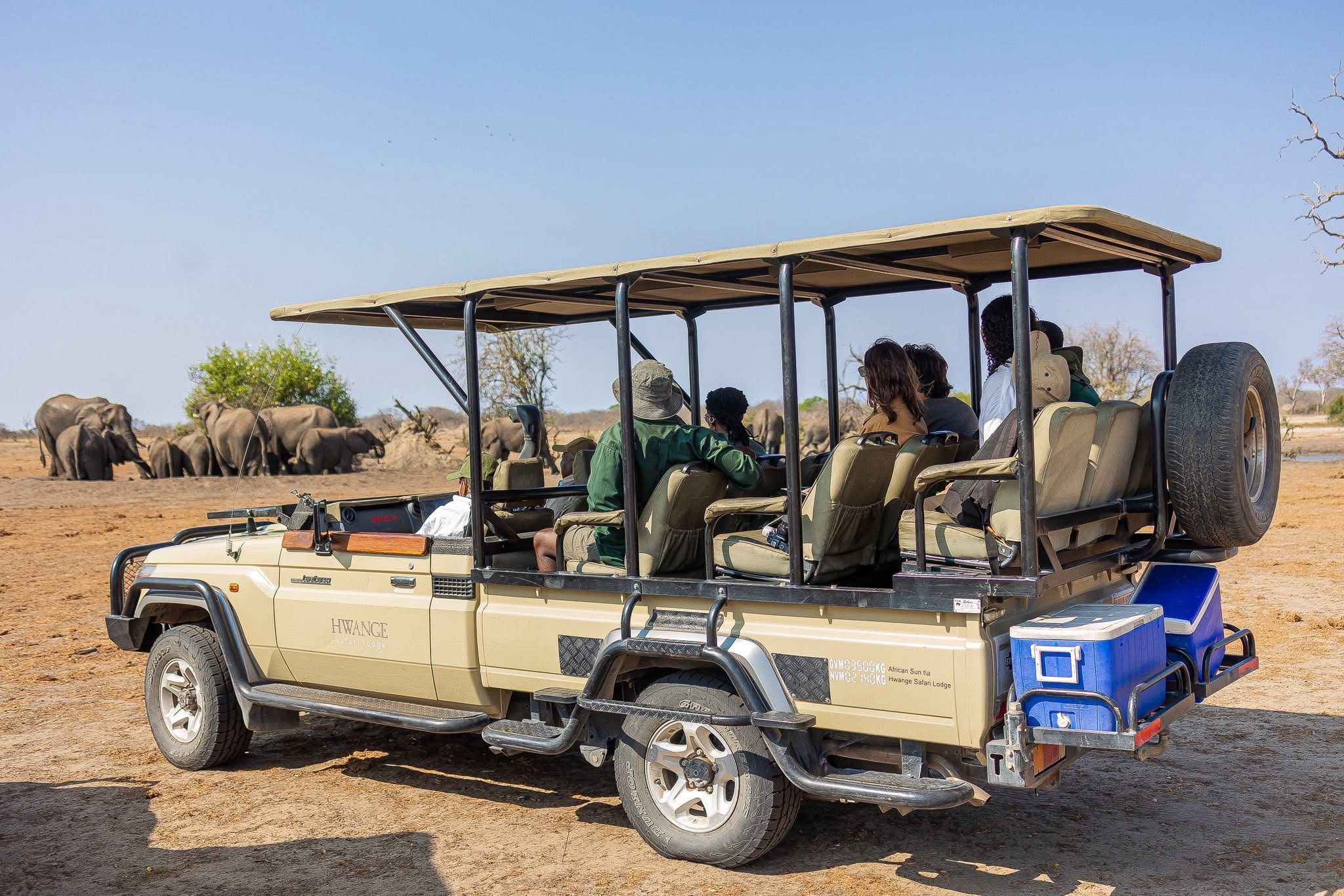 Victoria Falls Rainforest Tour